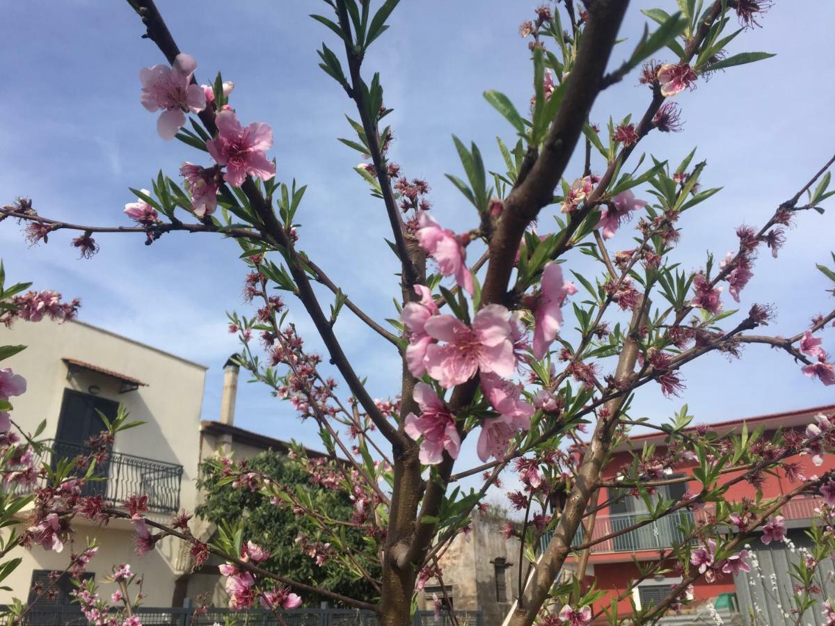 Il Giardino Di Nonno Agostino Bed & Breakfast Castellammare di Stabia Exterior photo