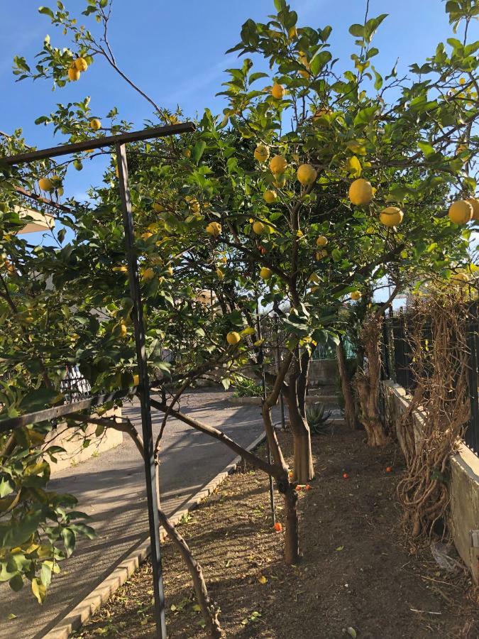 Il Giardino Di Nonno Agostino Bed & Breakfast Castellammare di Stabia Exterior photo